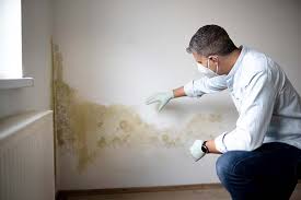 Best Real Estate Mold Inspection  in Carter Lake, IA